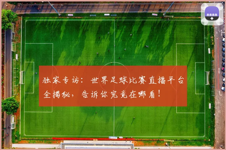 独家专访：世界足球比赛直播平台全揭秘，告诉你究竟在哪看！