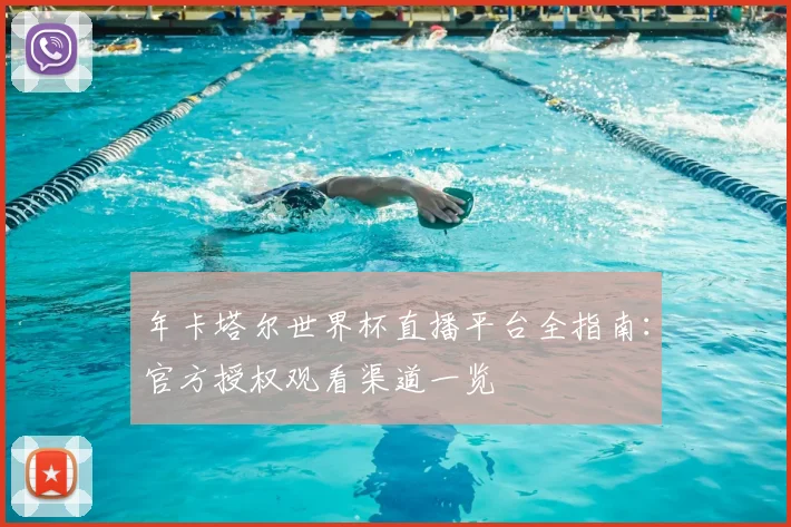 年卡塔尔世界杯直播平台全指南：官方授权观看渠道一览